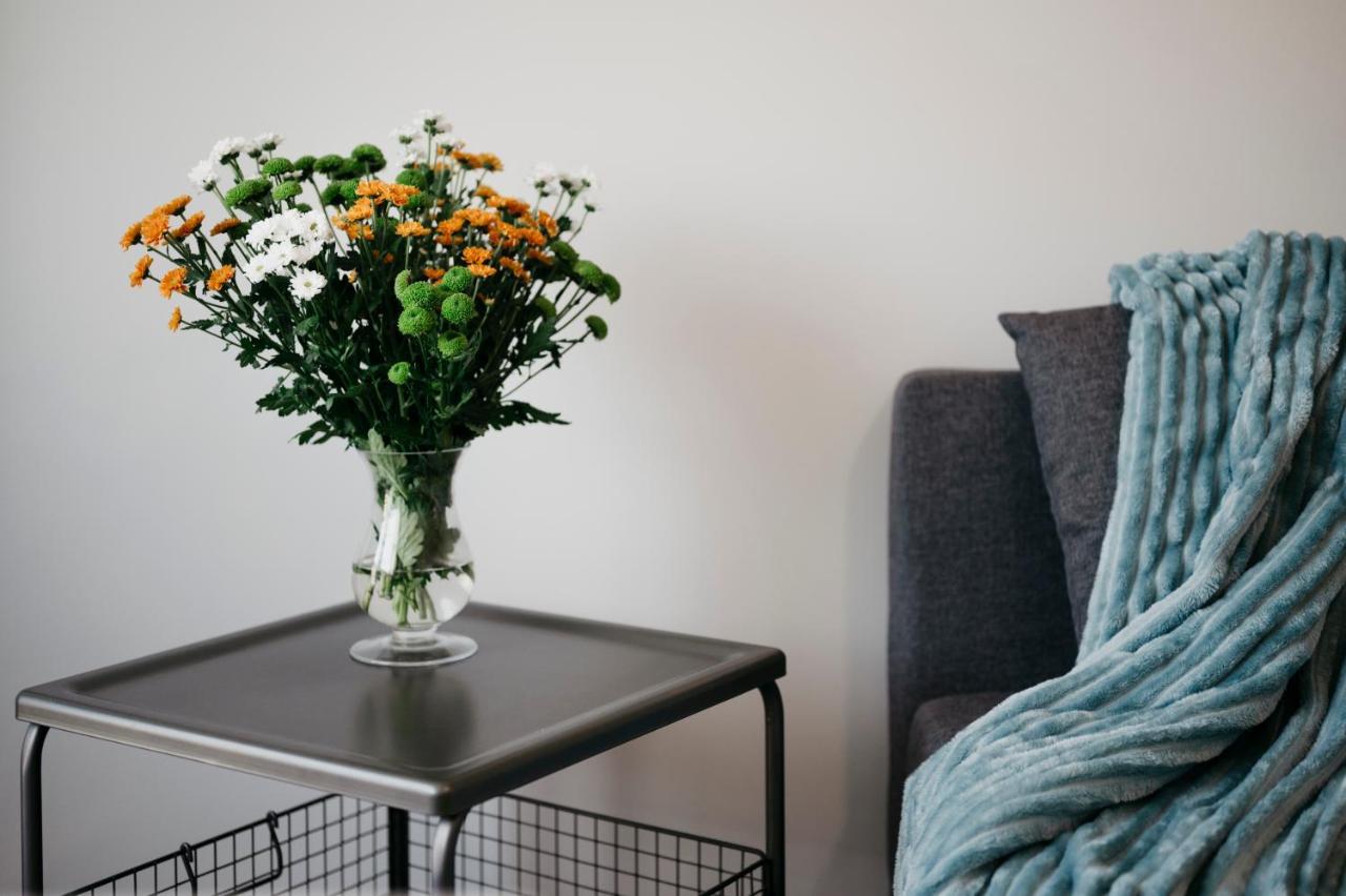 Nocosfera Apartament Serbinow Kaliszki Exteriör bild